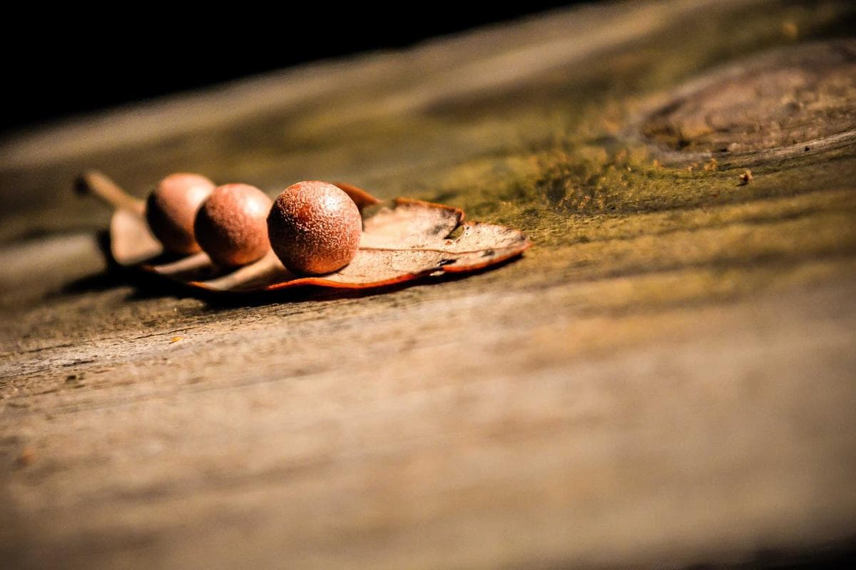 GharDekho — Real Estate Listing Platform — gallery image 2